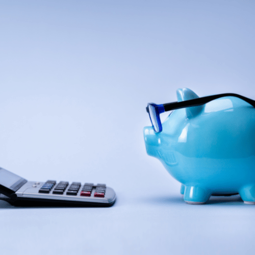 wat is budgetbegeleiding