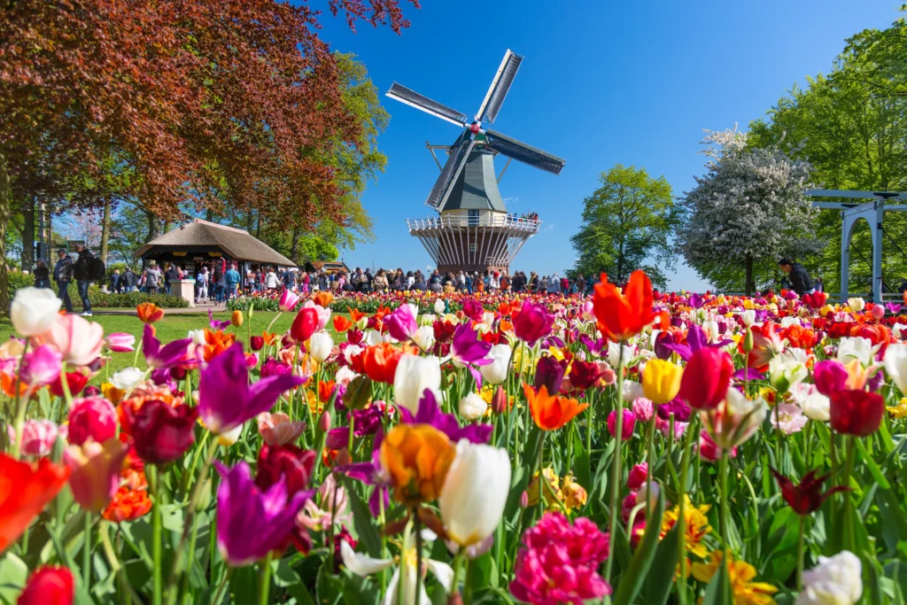Budgetbeheer gemeente Lisse