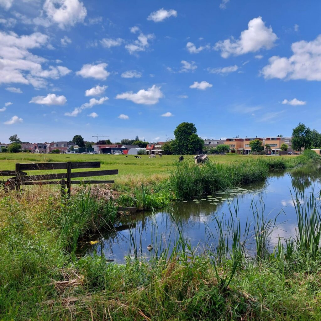 budgetbeheer Leiderdorp