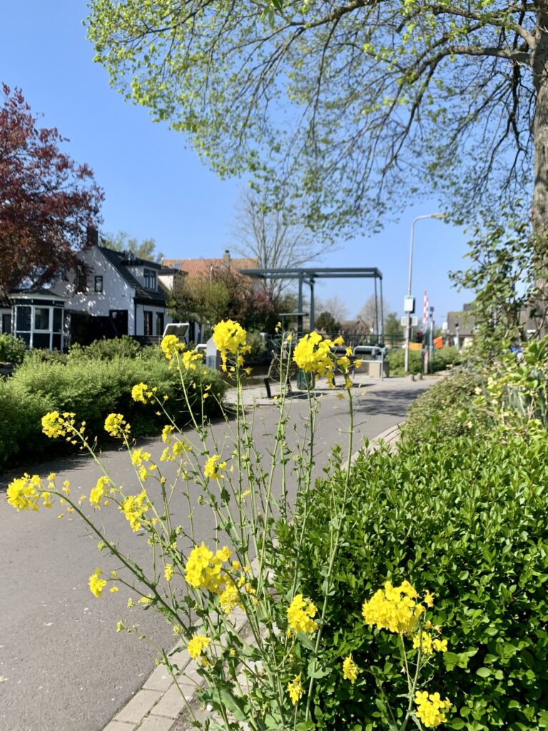 Budgetbeheer Bilderdam