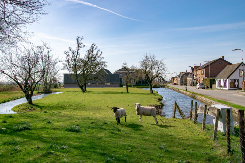 Budgetbeheer Leimuiden